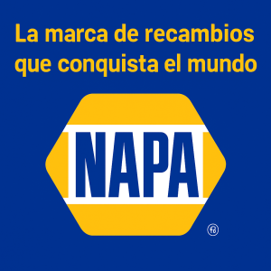 Logo NAPA